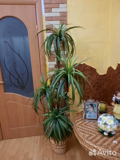 Искусственная пальма бу