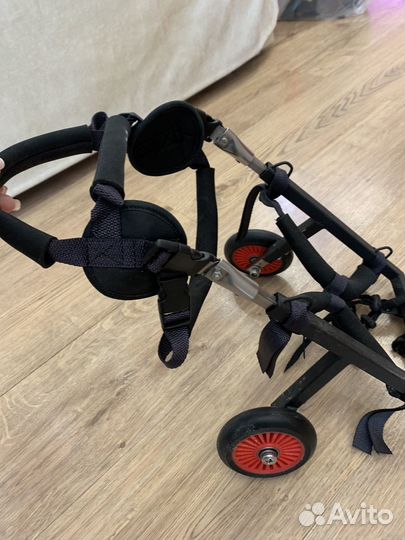 Каталка для собак (для задних лап)