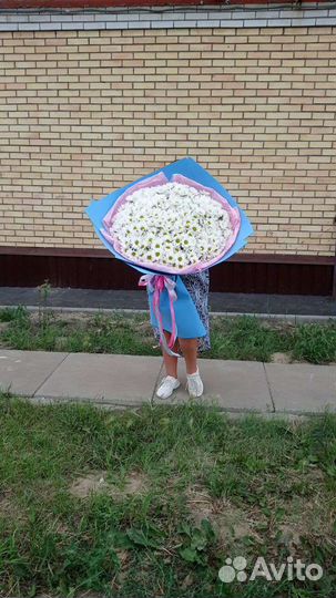 Букет ромашек цветы доставка