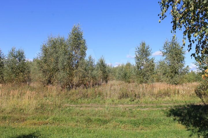 Участок 8 га (ИЖС)