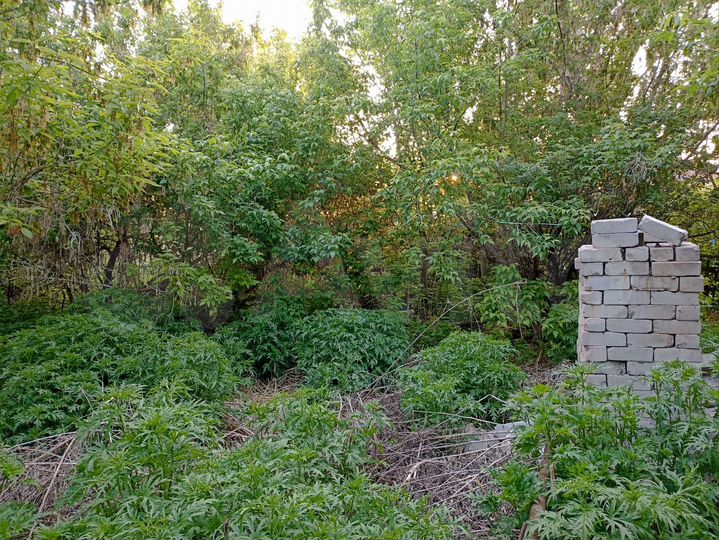 Участок 29 сот. (ИЖС)