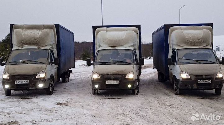 Водитель автомобиля