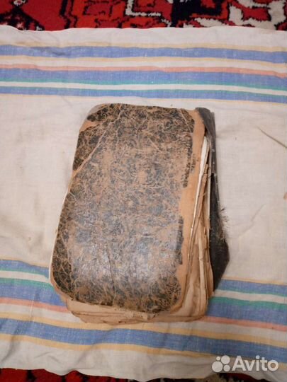 Калереквия