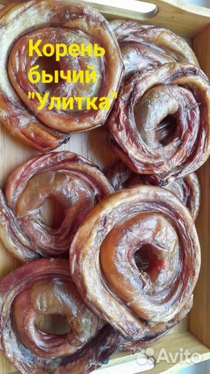 Бычий корень и сушка бесплатная доставка