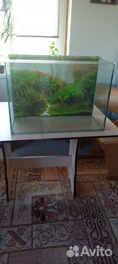 Аквариум 100л