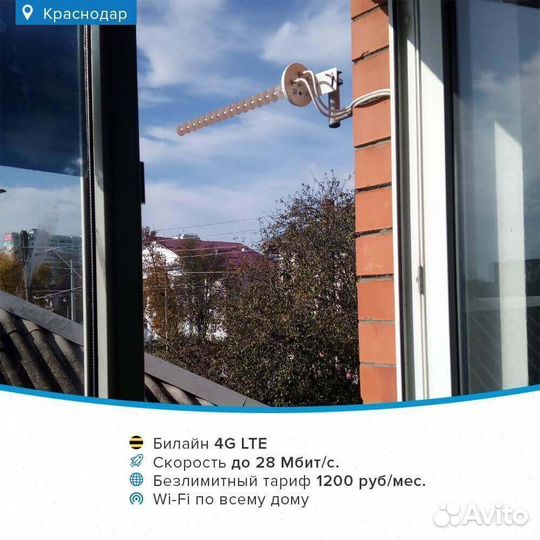 Беспроводной интернет для бизнеса набор № 233