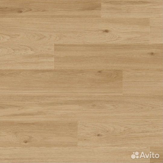 Ламинат Balterio Дуб Премьера RST61051