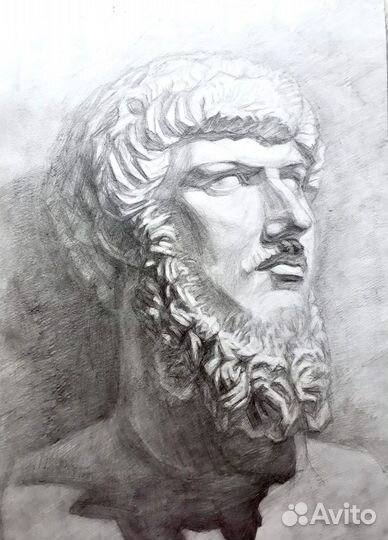 Репетитор по академическому рисунку