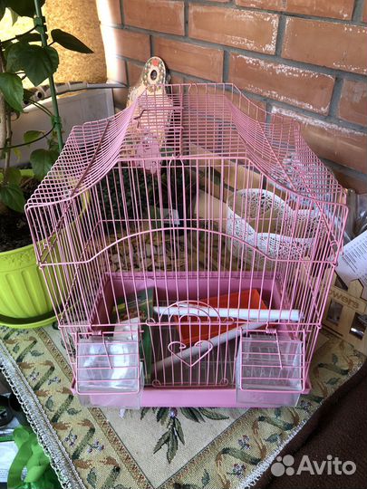 Клетка для попугая новая