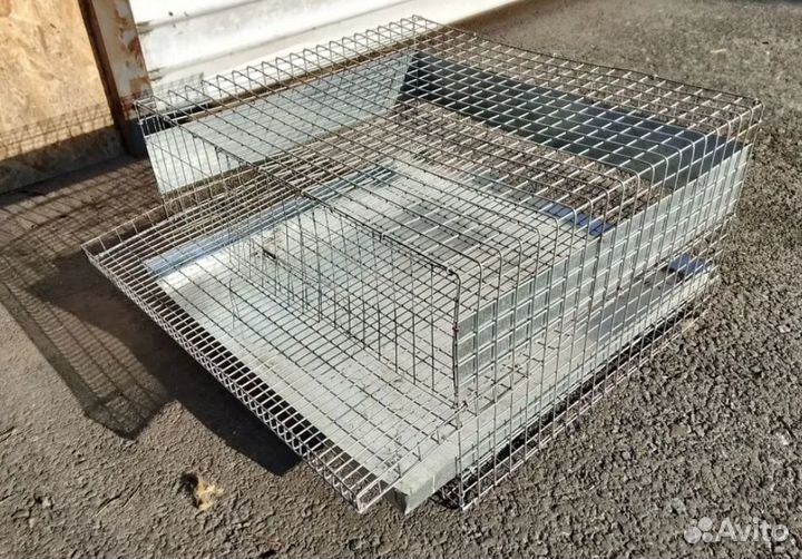 Клетка для перепёлок и перепелов