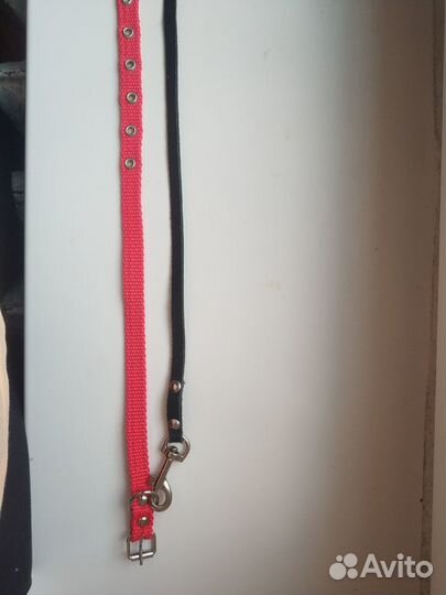 Ошейник с поводком для кошек и малеких собак