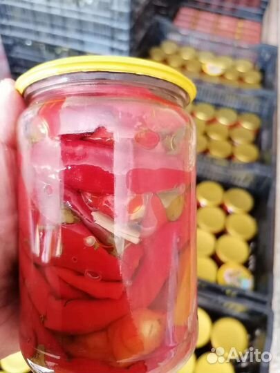 Соленья домашние