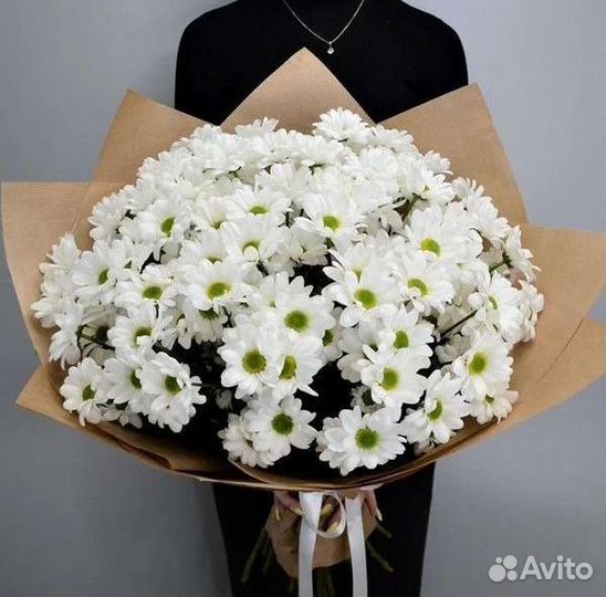 Букет Цветы Хризантемы