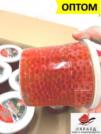 Красная Икра