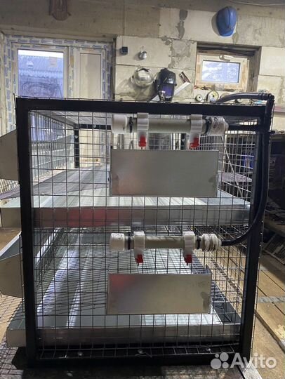 Клетка на каркасе для 60 перепелов