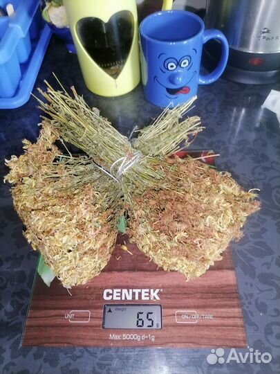 Травы полезные для здоровья