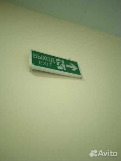 Выход (светящиеся для блогеров)