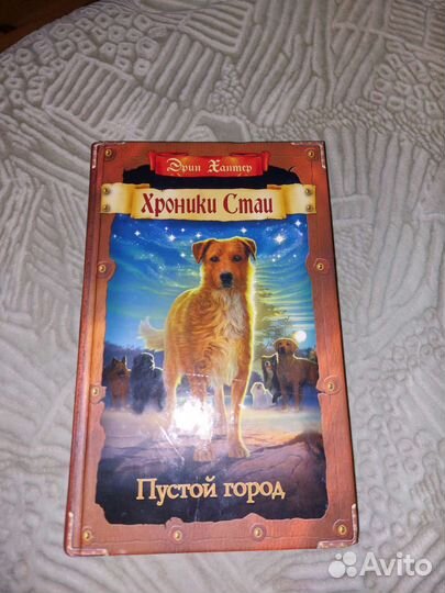 Хроники стаи. Пустой город