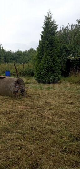 Участок 15 сот. (ИЖС)