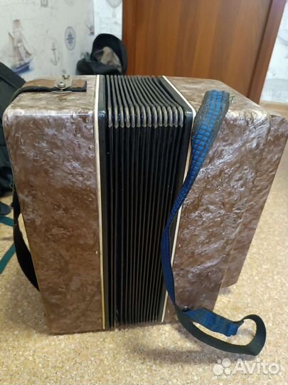 Баян вологодский СССР