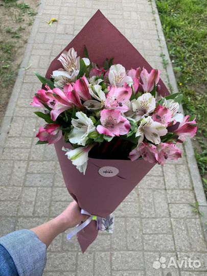 Альстромерия цветы доставка букетов Вологда