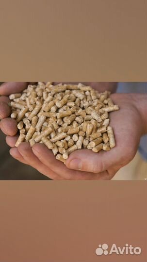Пеллеты, наполнитель для кошачьего туалета