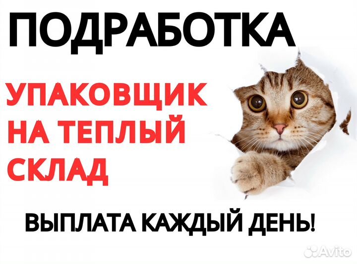 Упаковщик / Ежедневная оплата оф0415