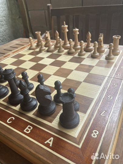 Шахматы