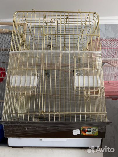 Попугай неразлучники с клеткой