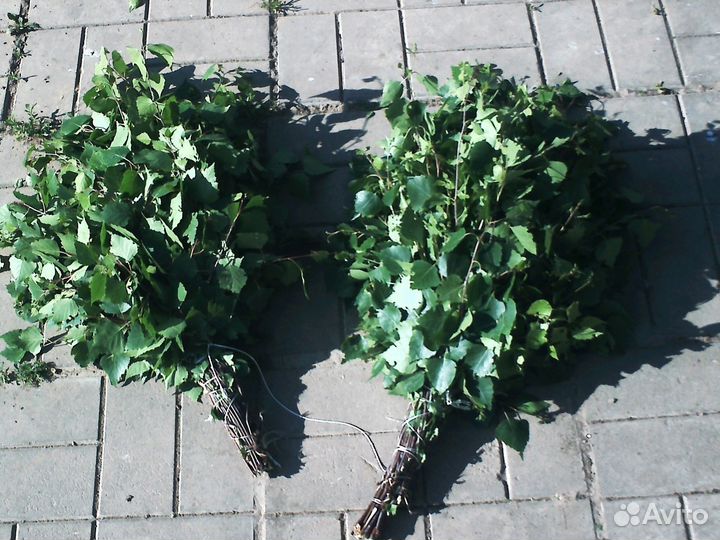 Веники для саун И бань