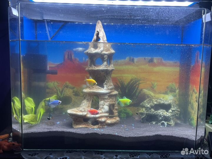 Аквариум