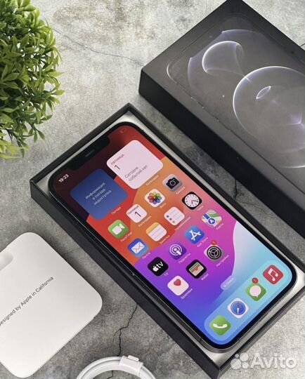 iPhone 12 Pro Max, 256 ГБ