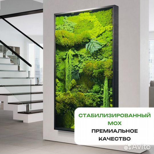 Озеленение интерьера Мох