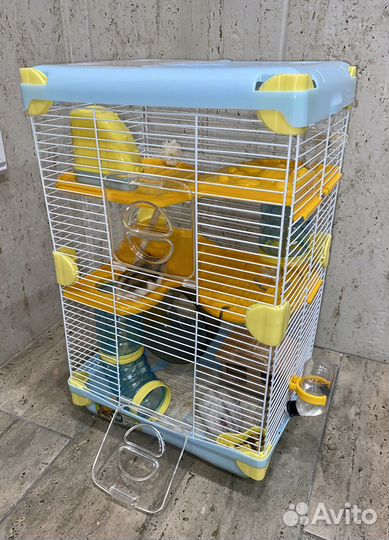 Хомяки с клеткой, два хомяка, грызуны, клетка