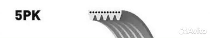 Ремень поликлиновой 5PK1683 gates