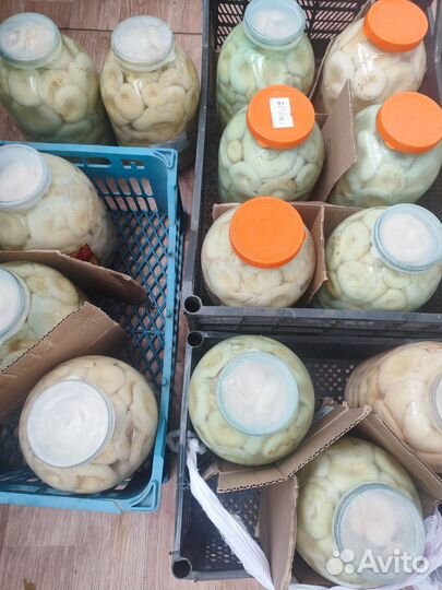 Грибы грузди соленые, сухие