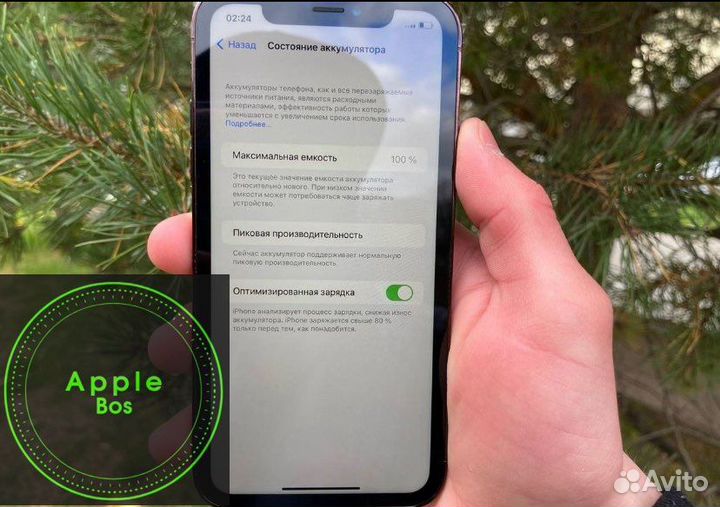 iPhone Xr в корпусе 14 pro