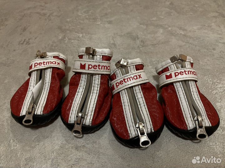 Обувь для собак