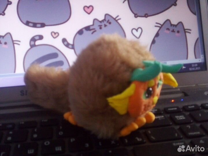 Оранжевый бокс