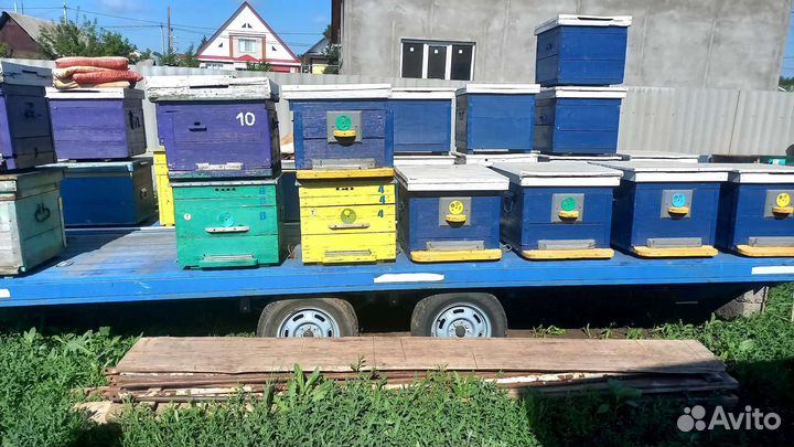 Прицеп для перевозки пчел и пасека