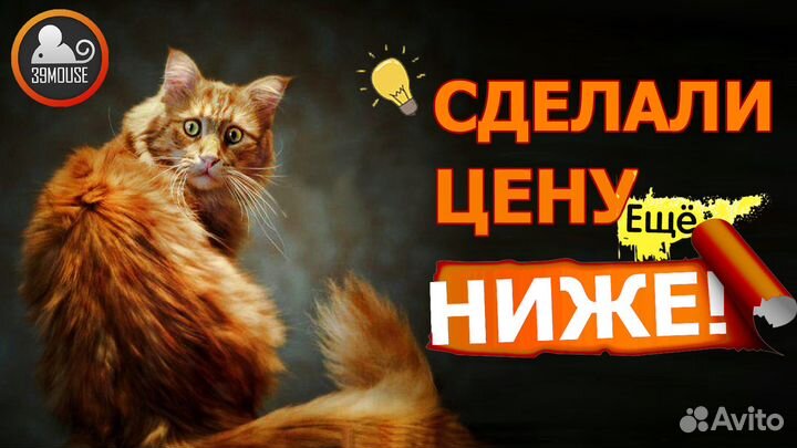 Яркий Сочный Ноутбук Lenovo Legion Y540 Гарантия