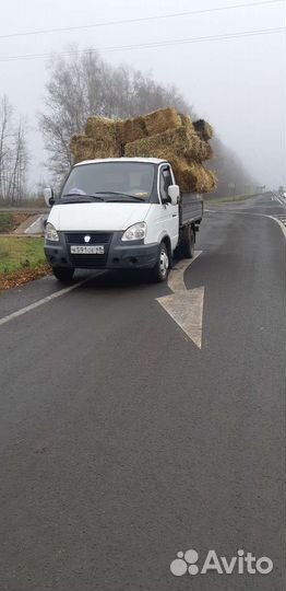 Грузоперевозки газель