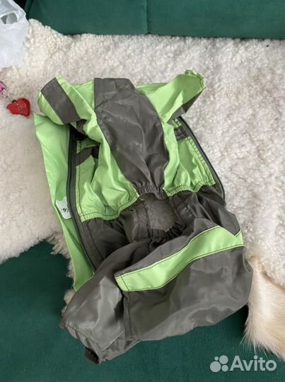 Одежда для собак