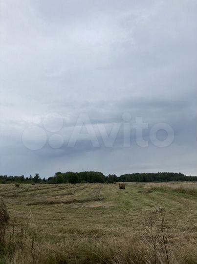 Участок 3,85 га (СНТ, ДНП)