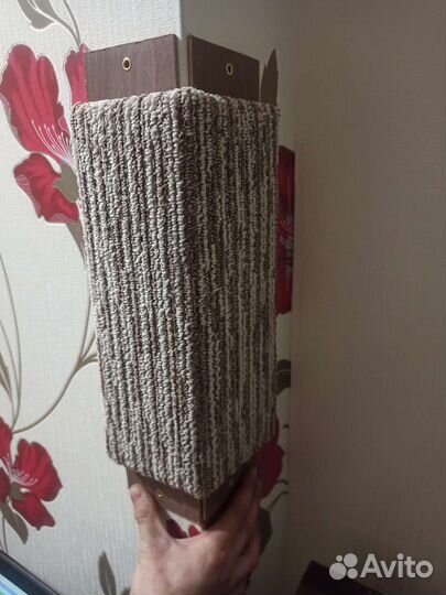 Когтеточка угловая