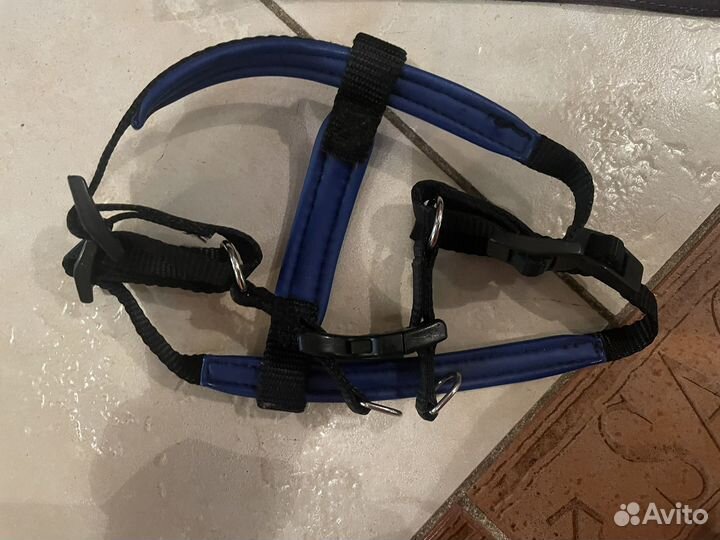 Одежда для собак пакетом