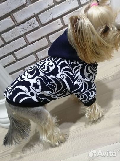 Одежда для собак
