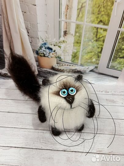 Толстый кот