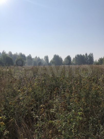 Участок 12 сот. (ИЖС)