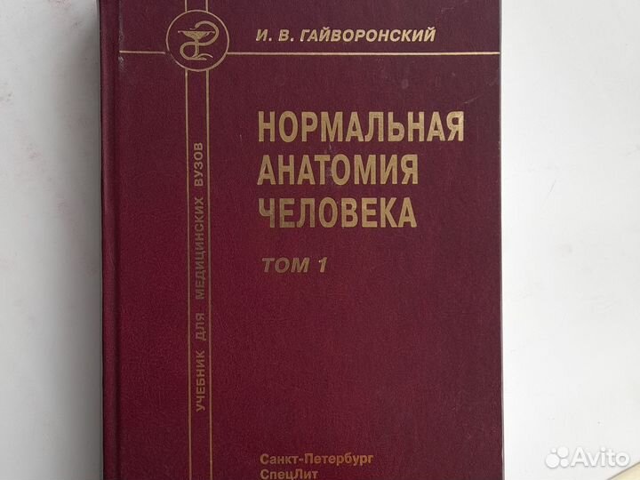 Анатомия человека